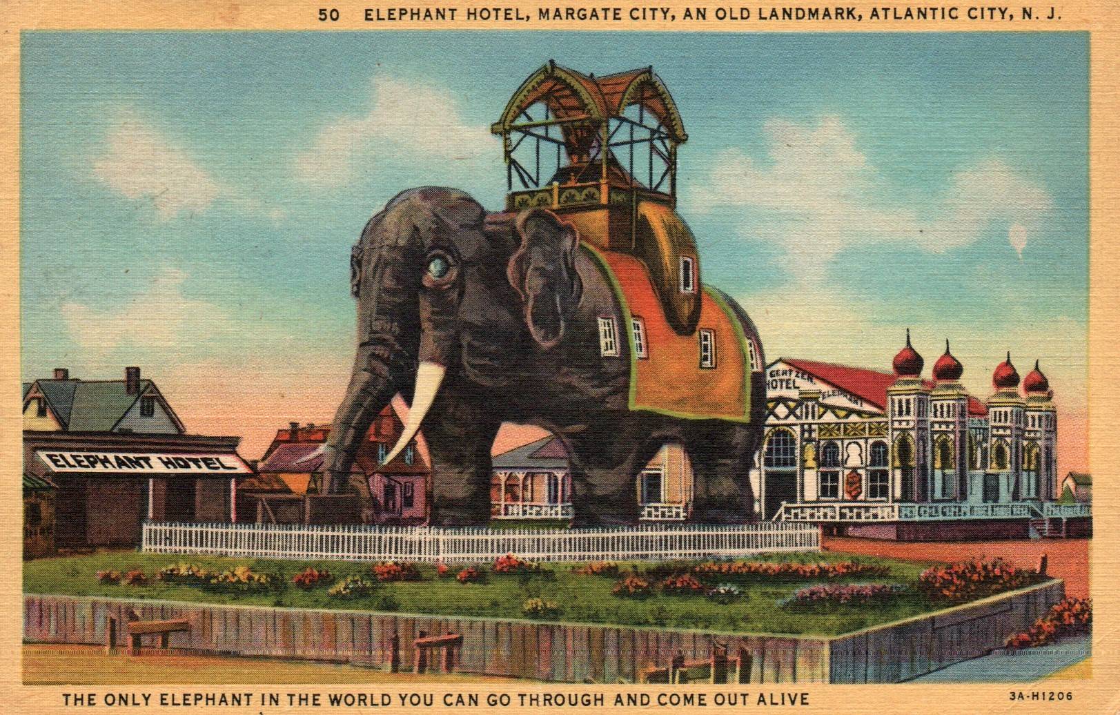 The History of Lucy, The World's Greatest Elephant 